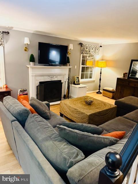 living room with ornamental molding, a premium fireplace, and light wood-type flooring