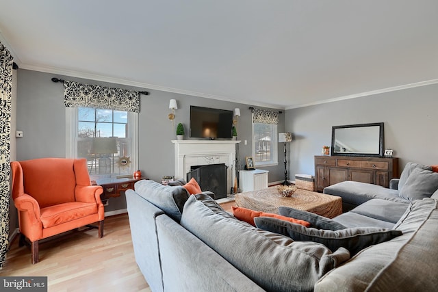 living room with ornamental molding, a fireplace, and light hardwood / wood-style floors