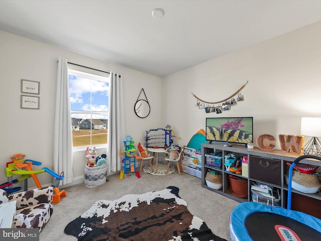 recreation room with carpet