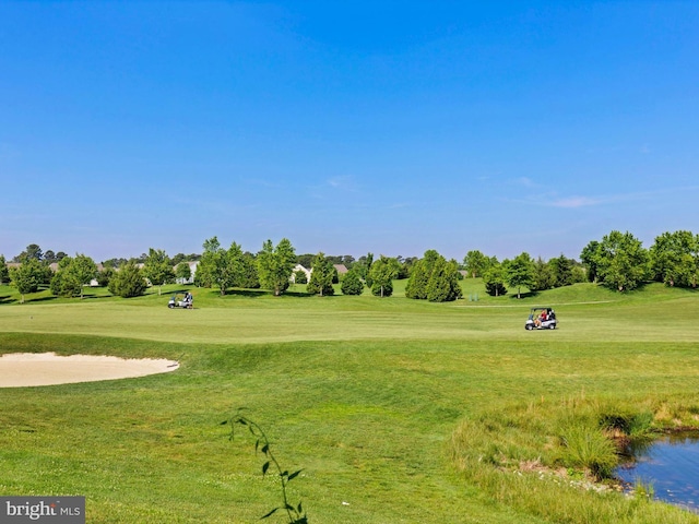 view of home's community with a yard