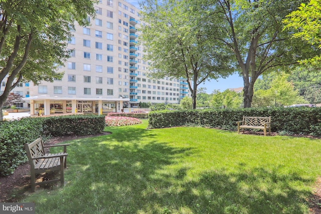 view of home's community with a lawn