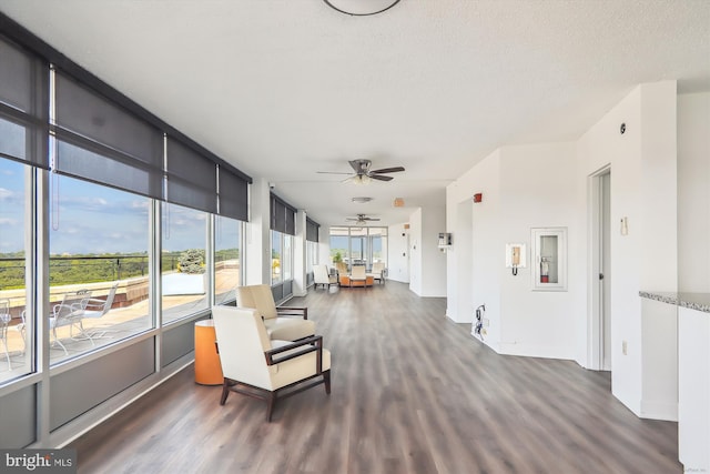 interior space featuring dark hardwood / wood-style flooring, ceiling fan, and a textured ceiling