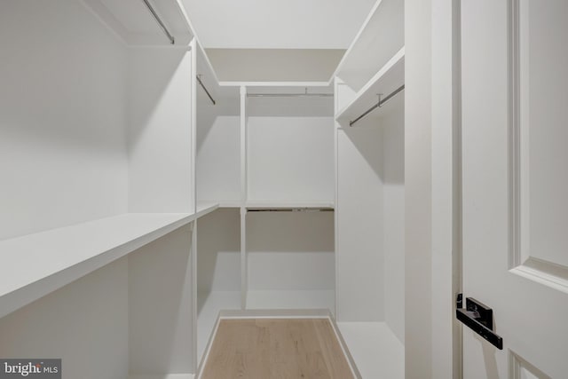 spacious closet featuring light wood finished floors