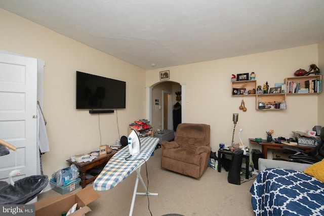 living room with carpet