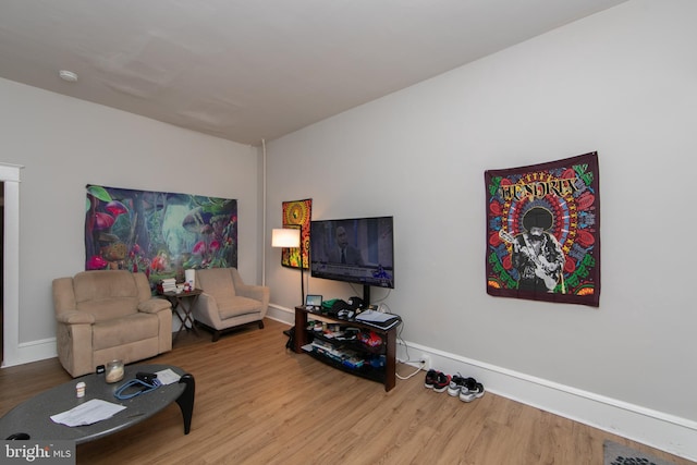 living room featuring light hardwood / wood-style floors