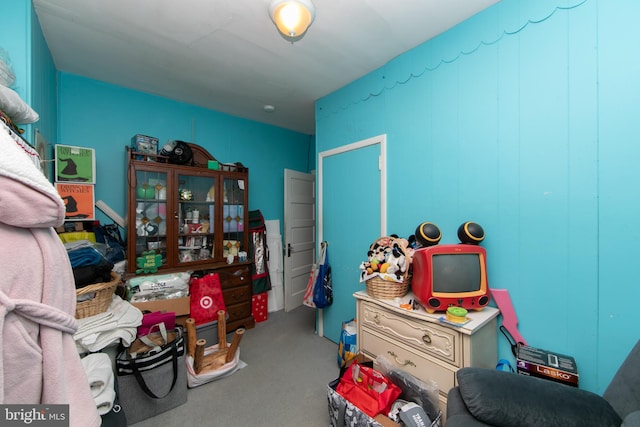 interior space with carpet floors