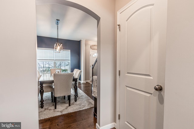 dining room with dark wood-type flooring