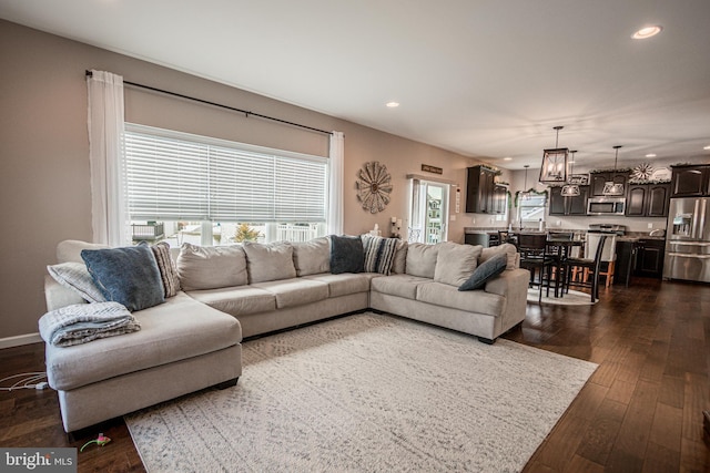 living room with dark hardwood / wood-style floors