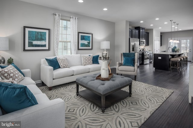 living room featuring dark wood-type flooring and sink