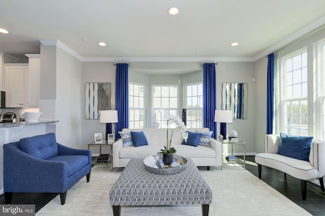 living room featuring crown molding, sink, and light hardwood / wood-style flooring