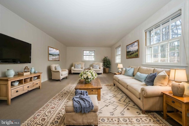 living room with carpet floors