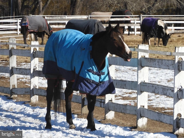 view of horse barn