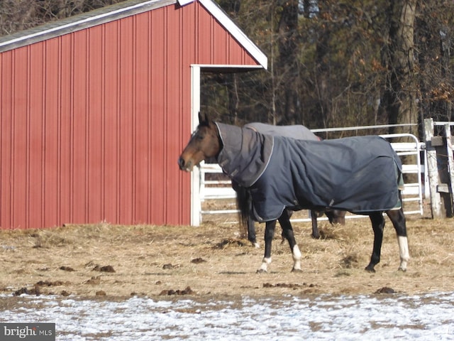 view of horse barn