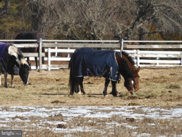 view of horse barn with a rural view