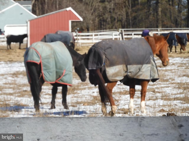 view of horse barn