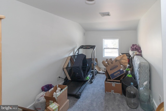 interior space featuring vaulted ceiling and carpet floors