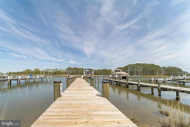 dock area with a water view