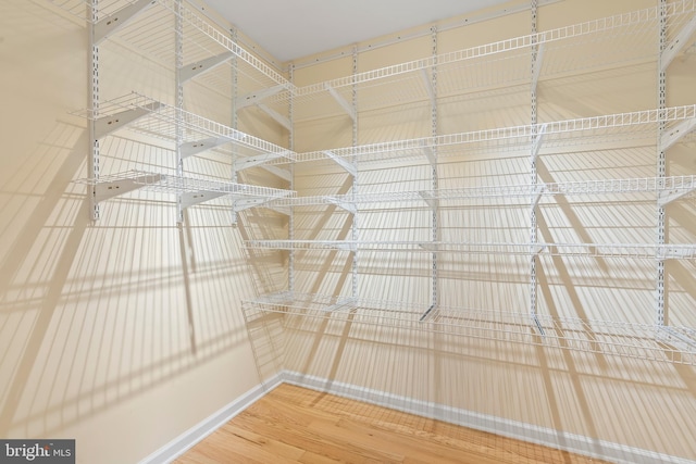 walk in closet featuring hardwood / wood-style flooring