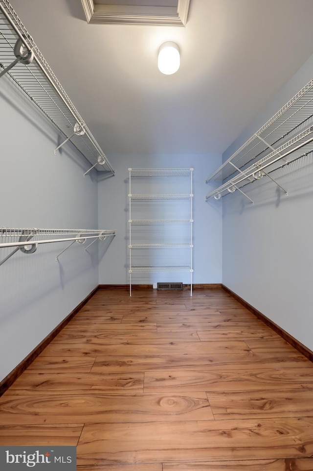spacious closet featuring light wood finished floors