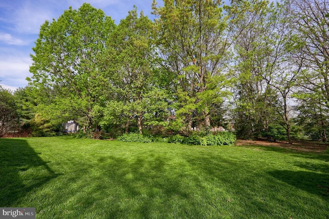 view of yard