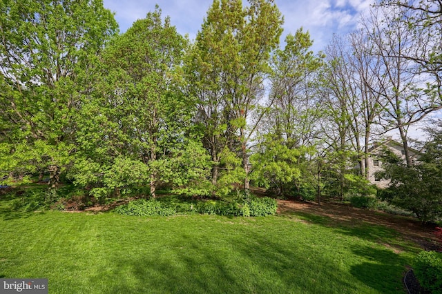 view of yard