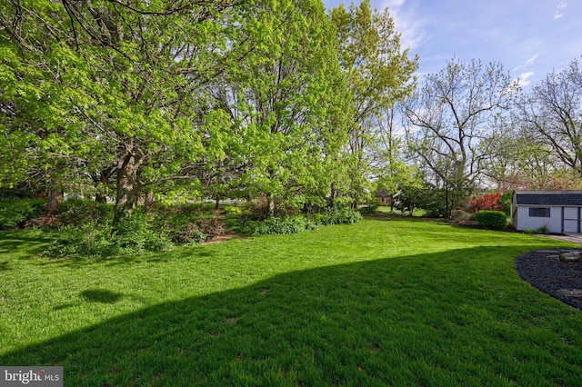 view of yard with an outdoor structure