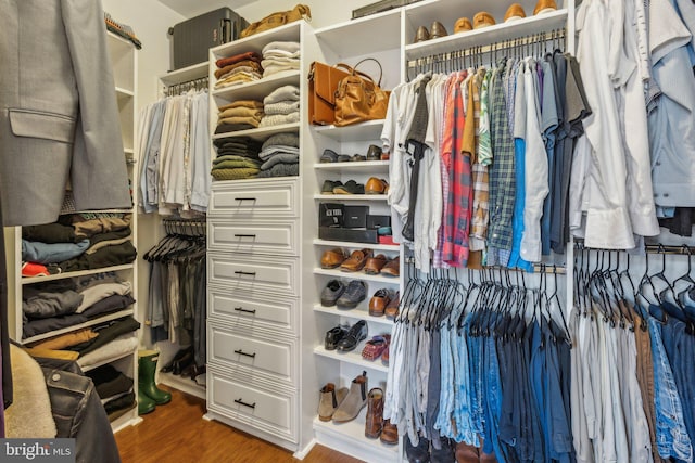 spacious closet featuring hardwood / wood-style flooring