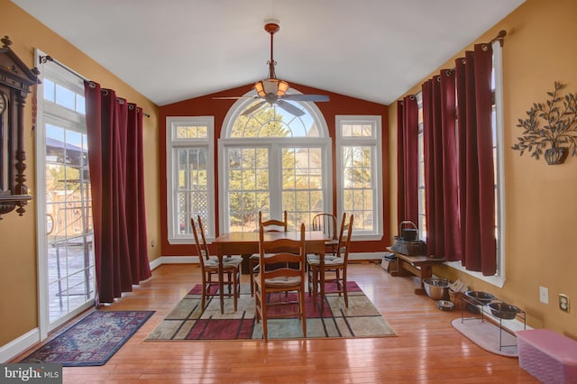 dining room featuring lofted ceiling, light hardwood / wood-style floors, and ceiling fan