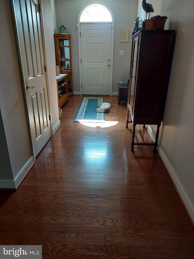 entrance foyer with dark hardwood / wood-style flooring