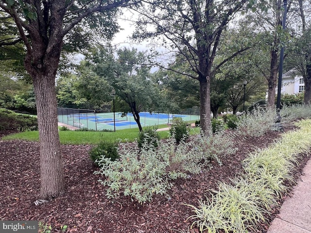 view of yard with tennis court