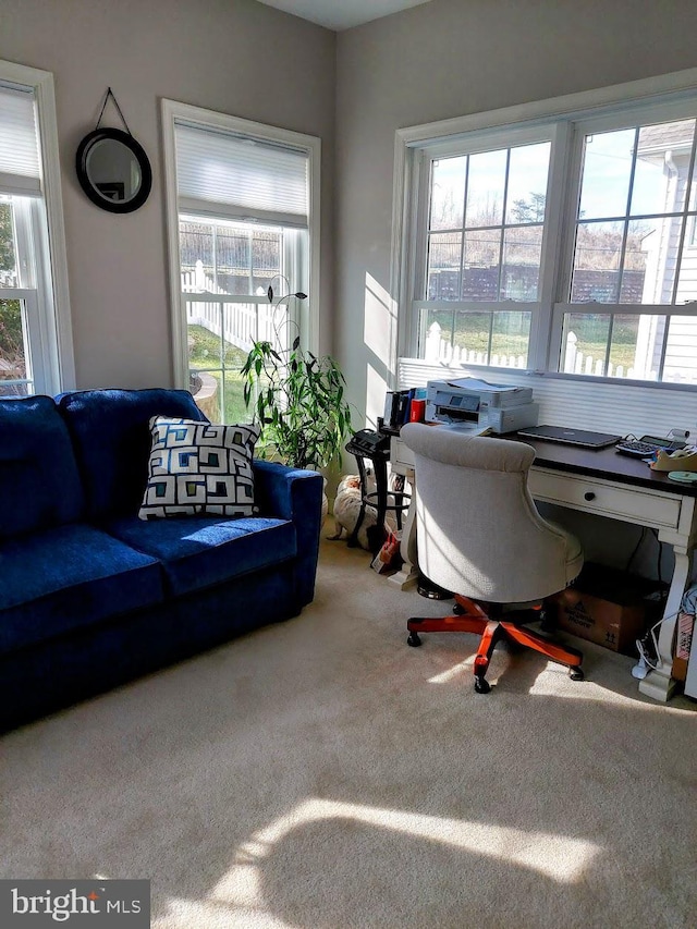 carpeted office space featuring plenty of natural light