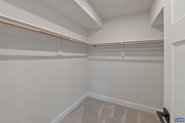 spacious closet with light colored carpet