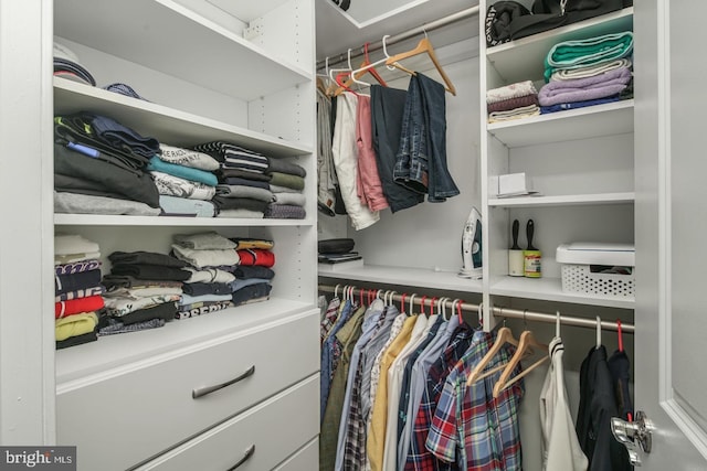 view of spacious closet