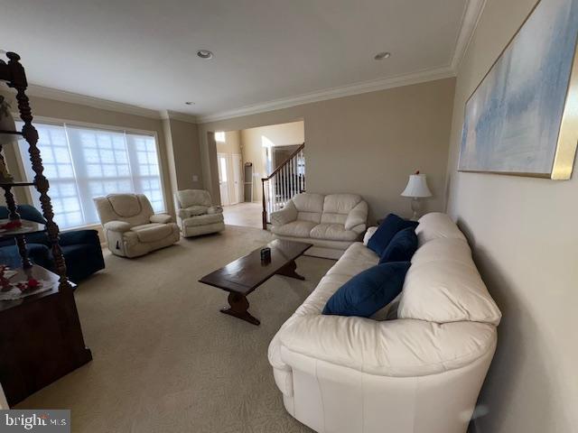 living room featuring ornamental molding and carpet floors