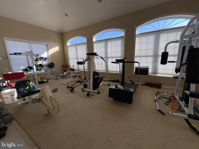 exercise area featuring carpet flooring