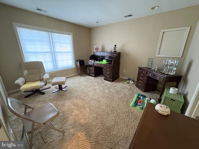 sitting room featuring carpet