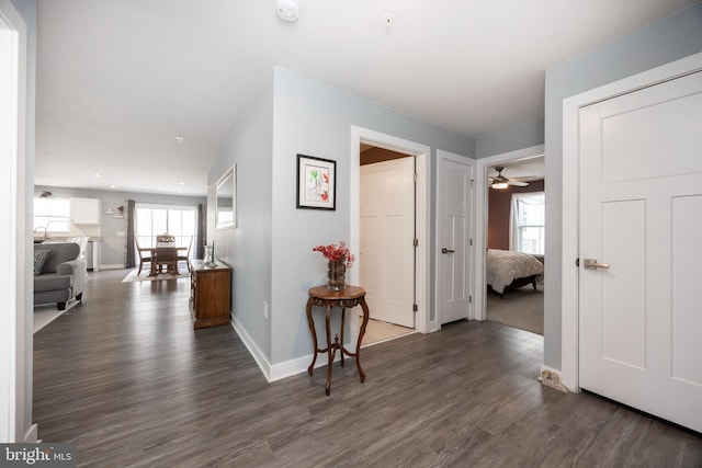 corridor with dark hardwood / wood-style floors