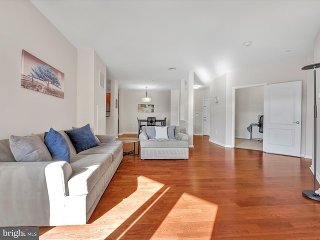 living room with wood-type flooring