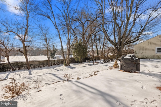 view of snowy yard