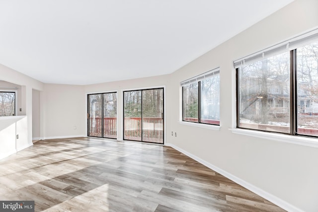 spare room with light hardwood / wood-style floors