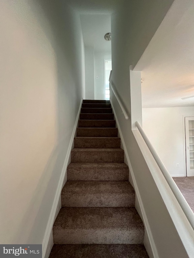 stairs featuring carpet