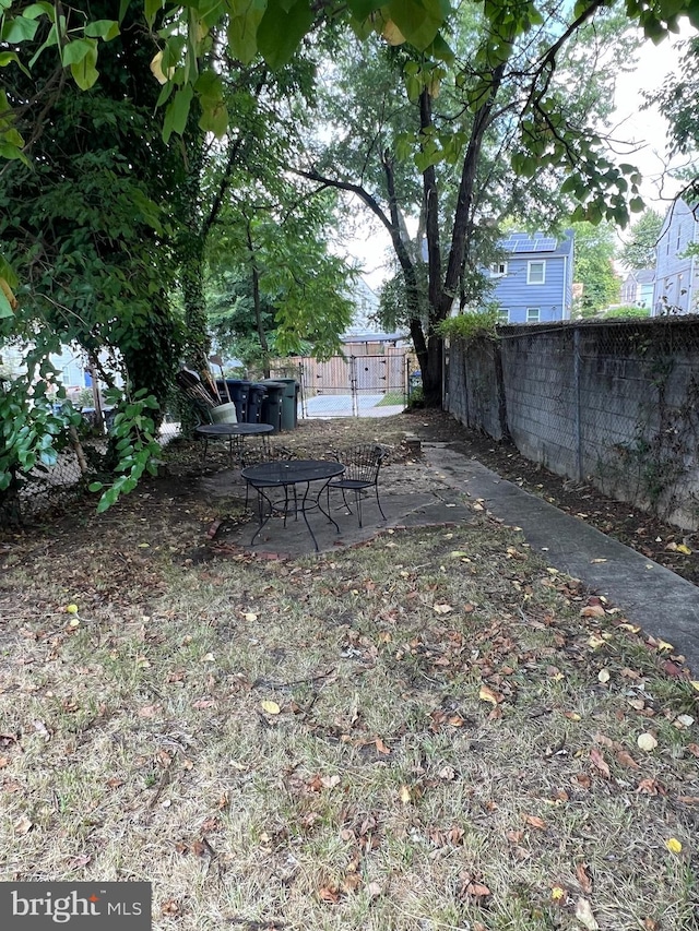 view of yard featuring a patio