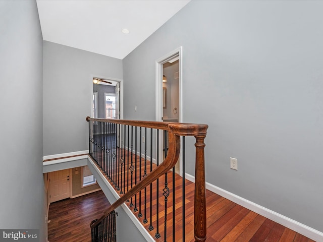 stairway with hardwood / wood-style flooring