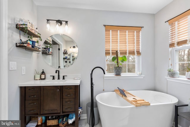 bathroom with a washtub, a healthy amount of sunlight, and vanity