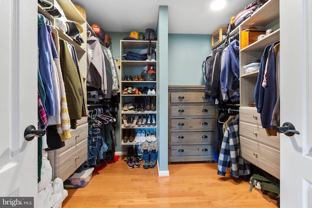 walk in closet with hardwood / wood-style flooring