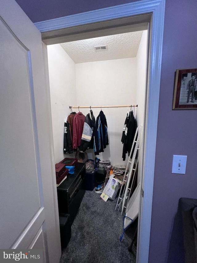 walk in closet with carpet