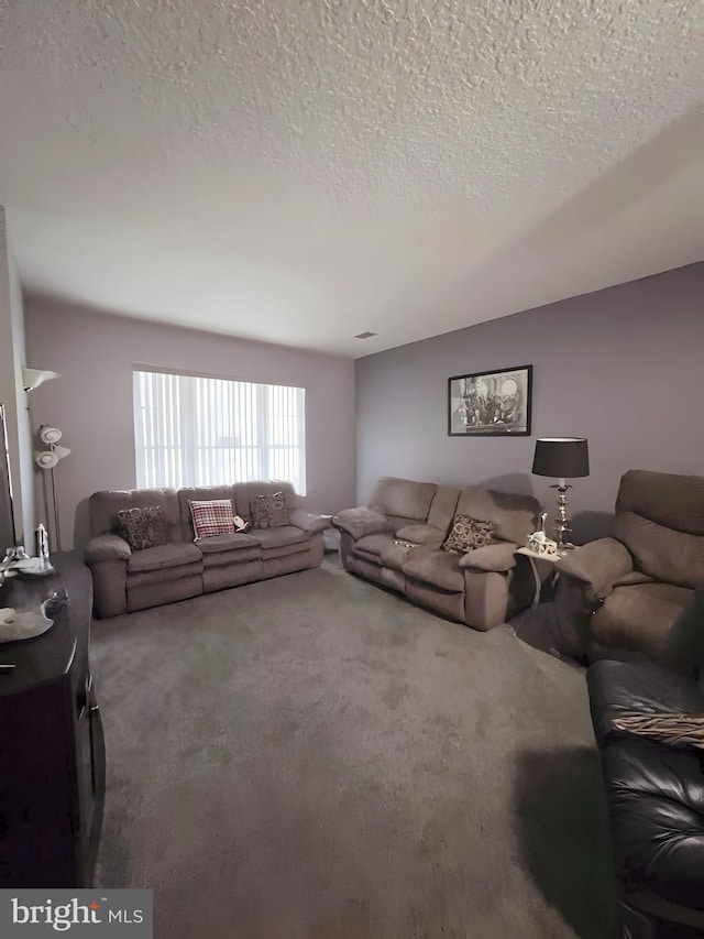 living room with carpet flooring and a textured ceiling