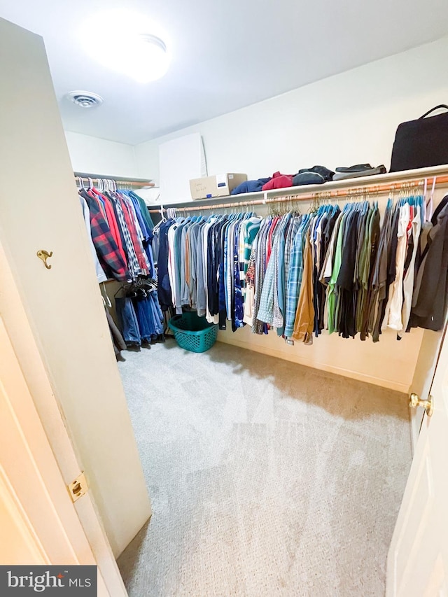 walk in closet with carpet flooring