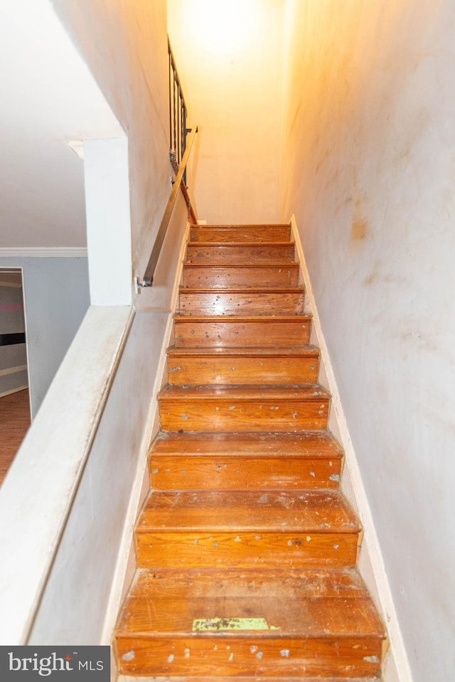 stairs with ornamental molding