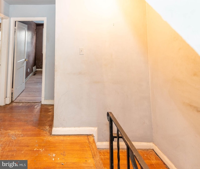 hallway with wood-type flooring